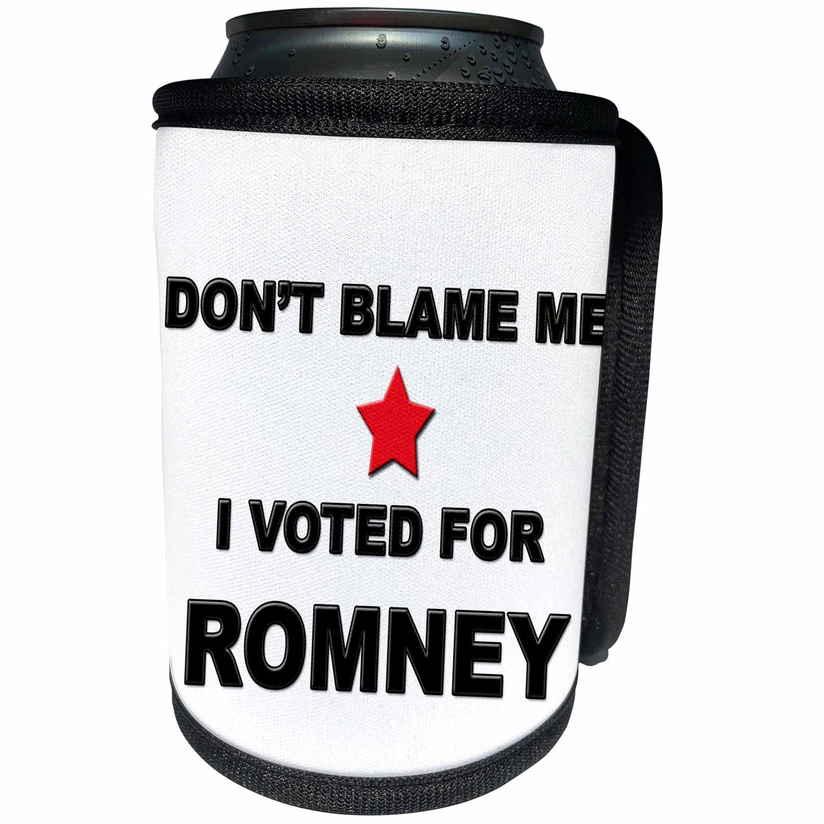 3dRose EvaDane - Funny Political Quotes - Don’t blame me I voted for Romney - Can Cooler Bottle Wrap (cc_107311)