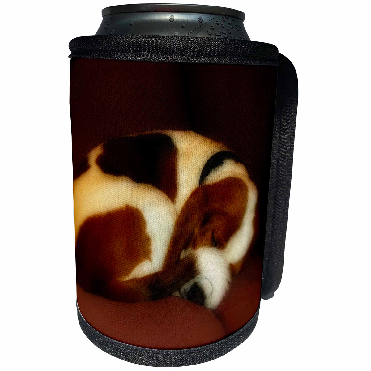 3dRose Renderly Yours Dogs - Sleeping Basset Hound With Curly Tail - Can Cooler Bottle Wrap (cc_111107)