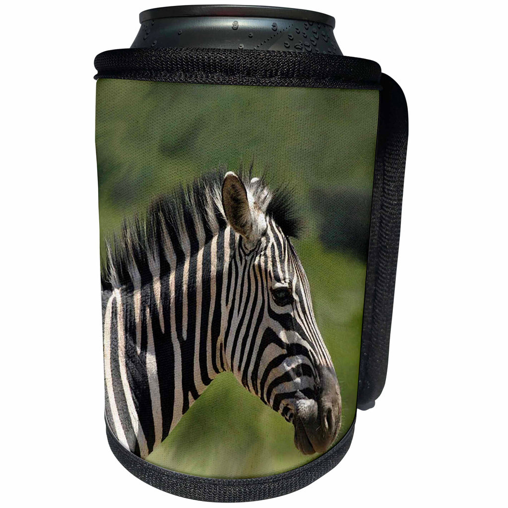 3dRose Wild animals - Zebra - Can Cooler Bottle Wrap (cc_1240)