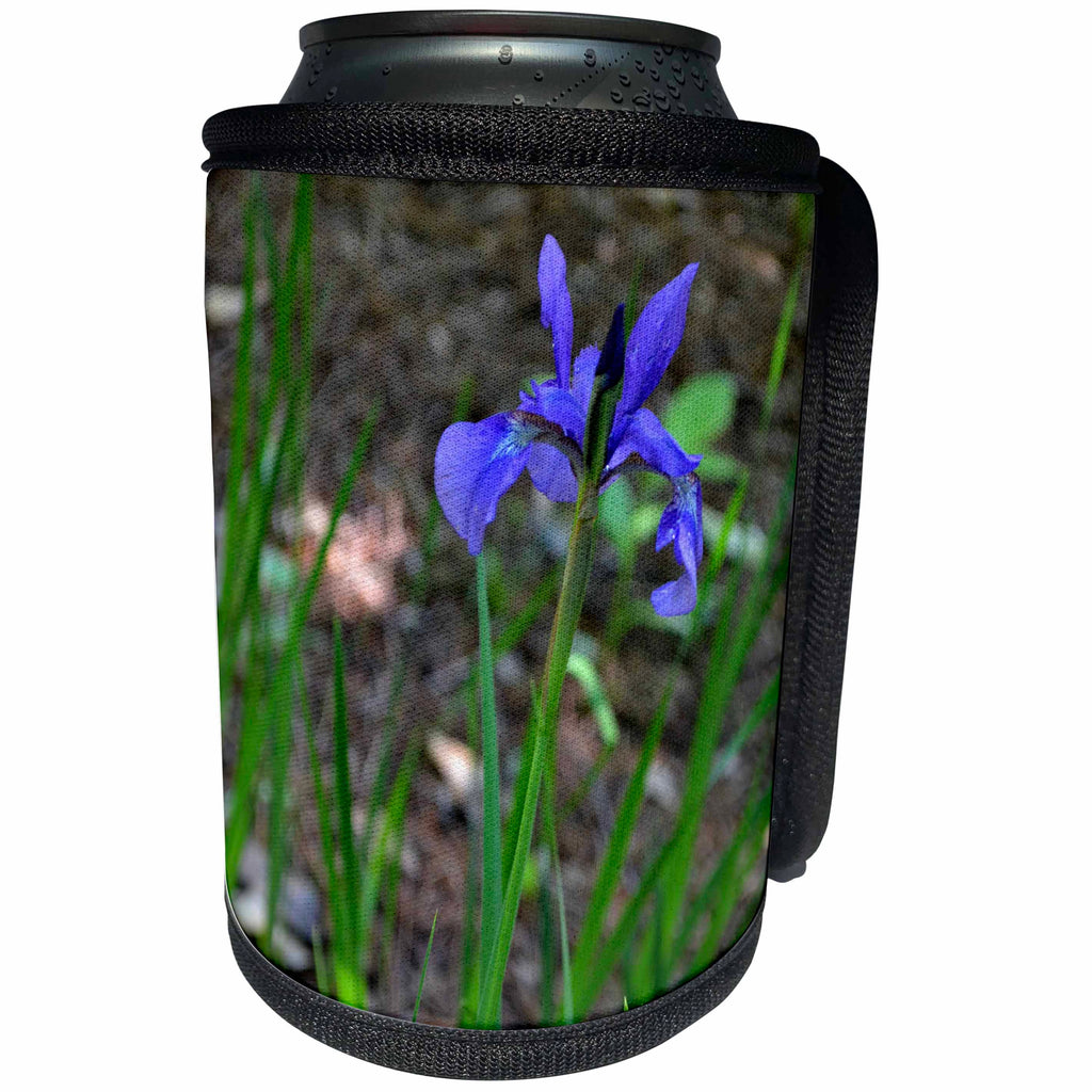 3dRose ET Photography-Irises - A unique looking Iris - Can Cooler Bottle Wrap (cc_129715)