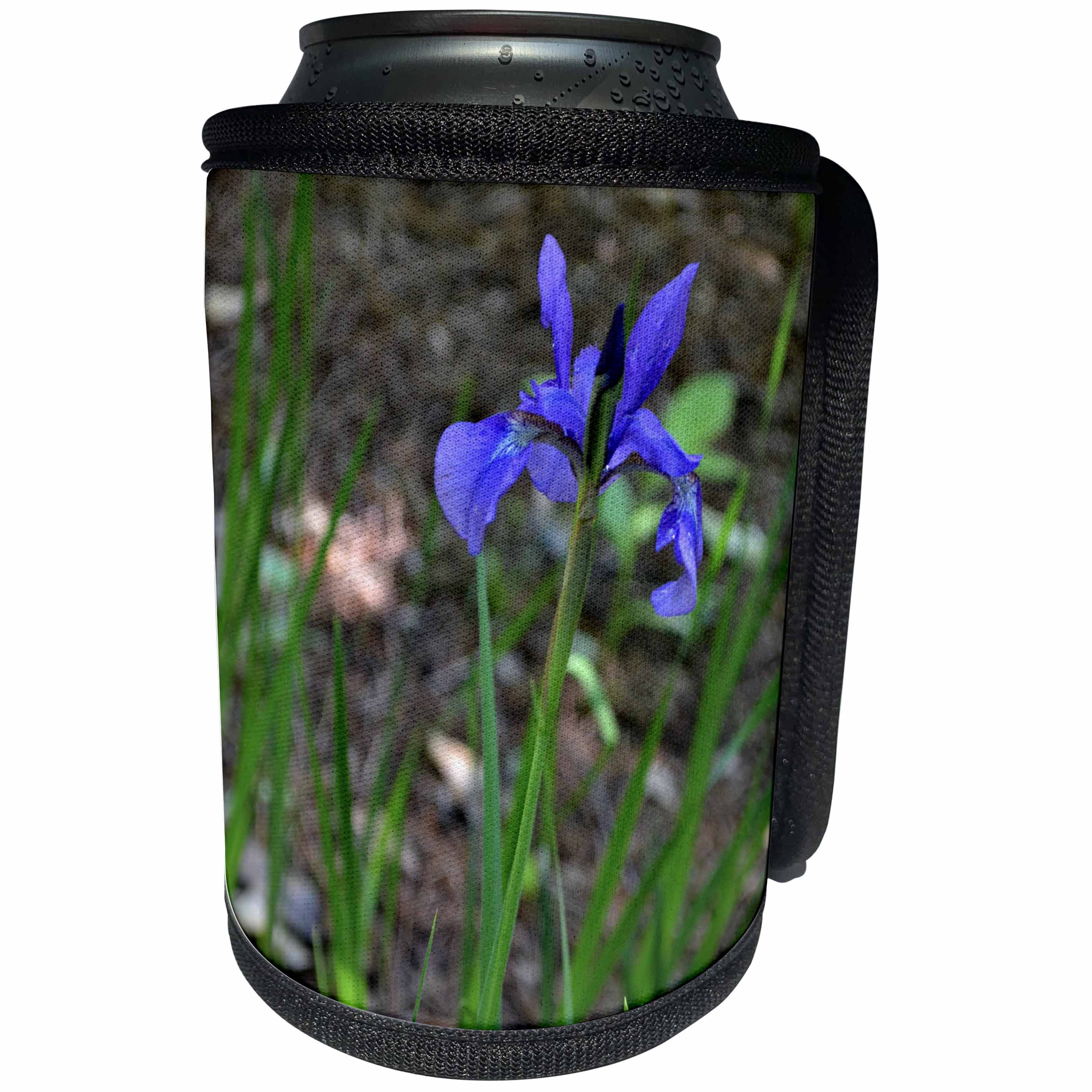 3dRose ET Photography-Irises - A unique looking Iris - Can Cooler Bottle Wrap (cc_129715)