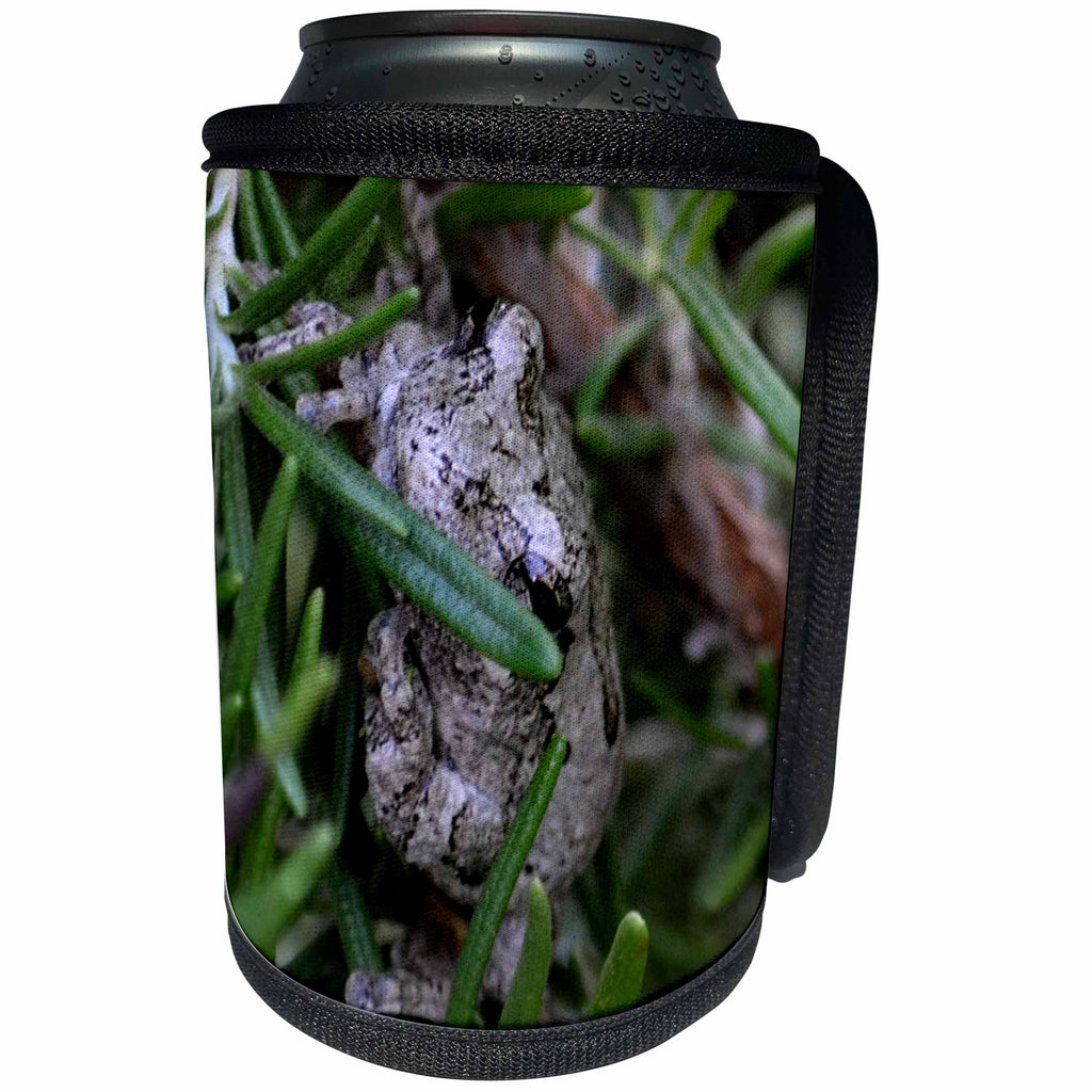 3dRose ET Photography-Wildlife - A tree frog nettled in a rosemary plant - Can Cooler Bottle Wrap (cc_129738)