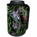 3dRose ET Photography-Wildlife - A tree frog nettled in a rosemary plant - Can Cooler Bottle Wrap (cc_129738)
