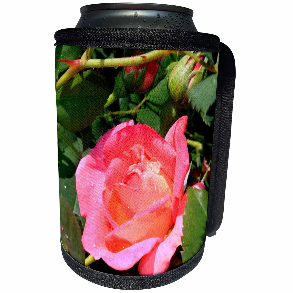 3dRose ET Photography-NMP Scenes - A rose showing its thorns - Can Cooler Bottle Wrap (cc_129760)