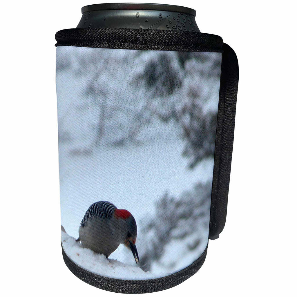 3dRose Beverly Turner Bird Photography - Red Headed Woodpecker - Can Cooler Bottle Wrap (cc_17493)