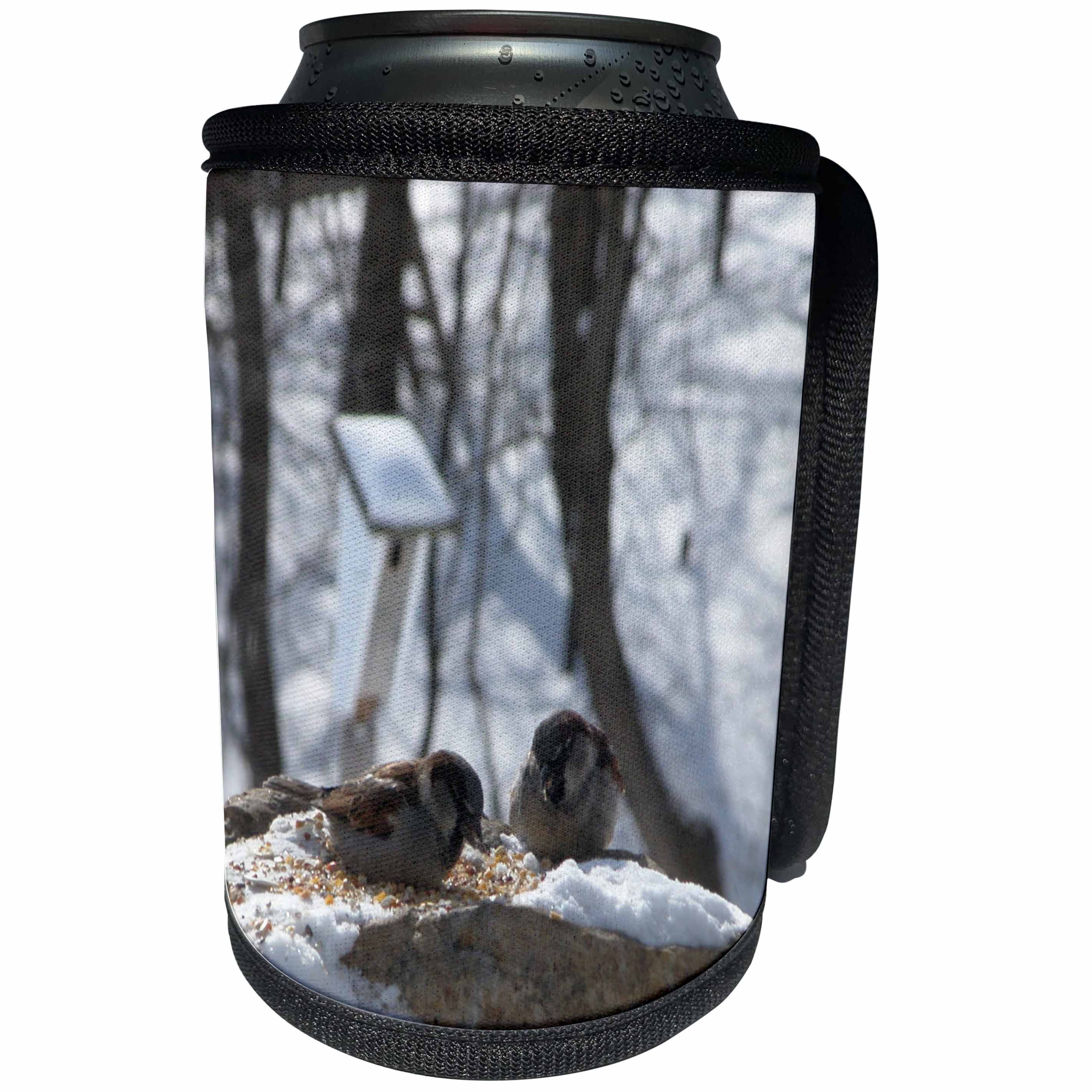 3dRose Beverly Turner Bird Photography - Two Sparrows in the Winter - Can Cooler Bottle Wrap (cc_17494)