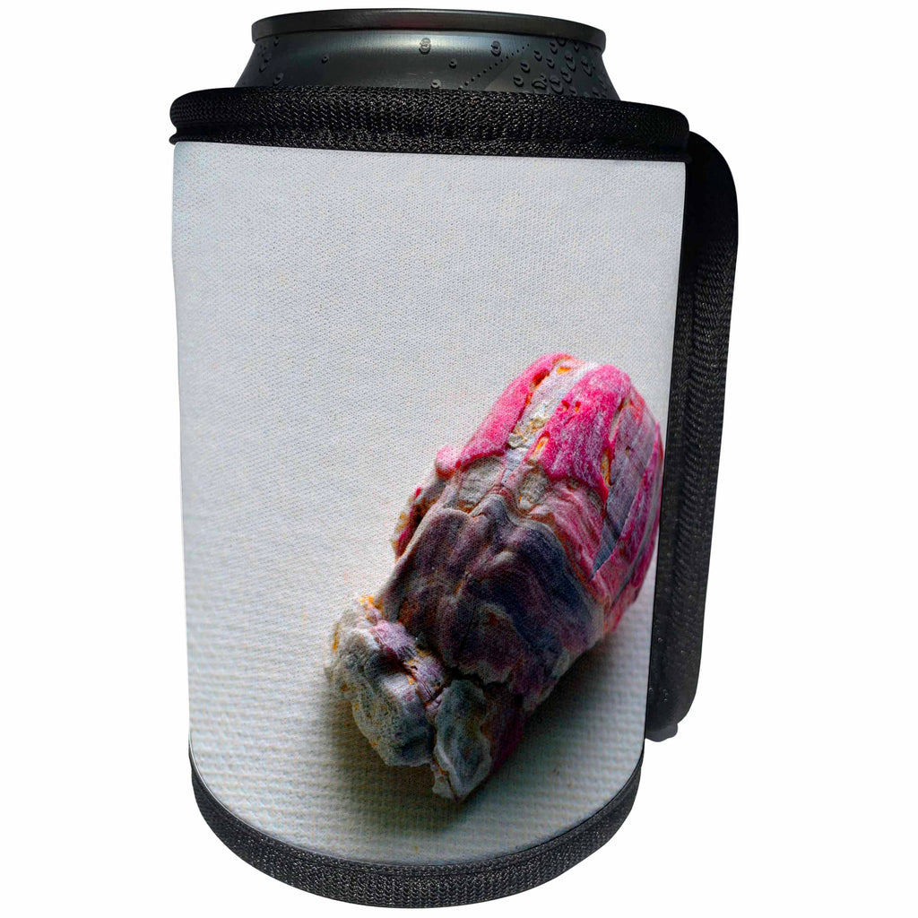 3dRose Susans Zoo Crew Beach - barnacle on canvas - Can Cooler Bottle Wrap (cc_194386)