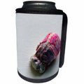3dRose Susans Zoo Crew Beach - barnacle on canvas - Can Cooler Bottle Wrap (cc_194386)