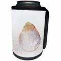 3dRose Susans Zoo Crew Beach - cockle shell back light seashell - Can Cooler Bottle Wrap (cc_194389)