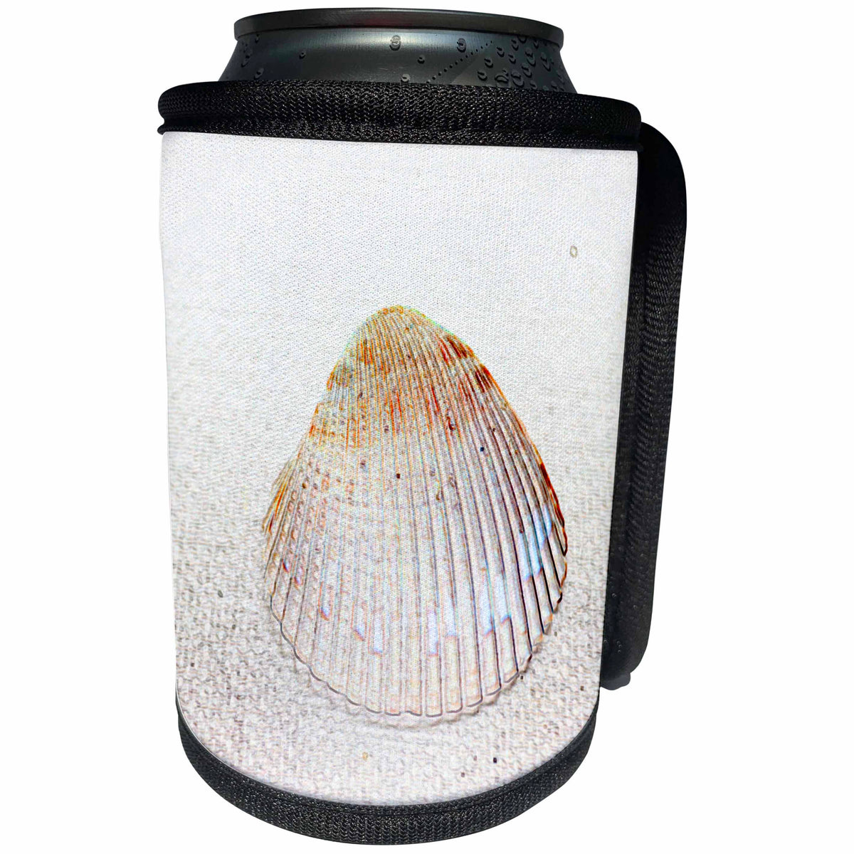 3dRose Susans Zoo Crew Beach - cockle shell back light seashell - Can Cooler Bottle Wrap (cc_194389)