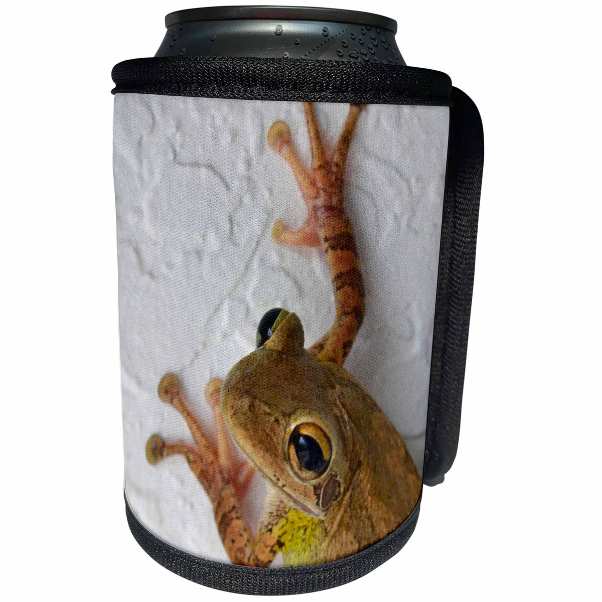 3dRose Susans Zoo Crew Animals Frog - frog looking at viewer - Can Cooler Bottle Wrap (cc_194393)