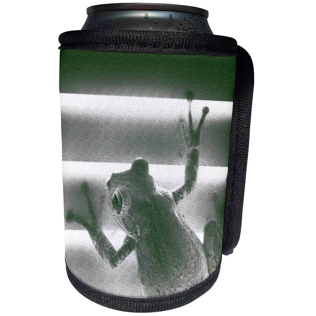 3dRose Susans Zoo Crew Animals Frog - frog on blinds green sketch - Can Cooler Bottle Wrap (cc_194394)