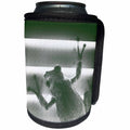 3dRose Susans Zoo Crew Animals Frog - frog on blinds green sketch - Can Cooler Bottle Wrap (cc_194394)