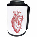 3dRose Florene - Victorian - Print of Victorian Diagram Of The Heart - Can Cooler Bottle Wrap (cc_204035)