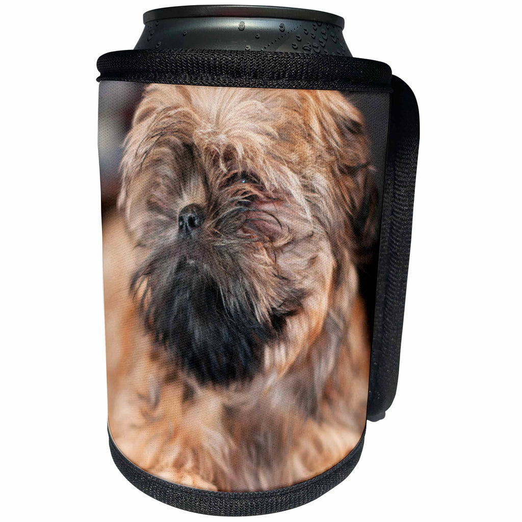 3dRose Jos Fauxtographee- Doggies - A close up with a large aperture of a Shih Tzu dog in brindle - Can Cooler Bottle Wrap (cc_204057)