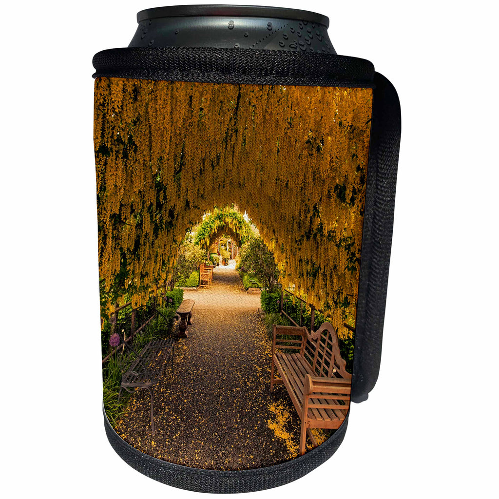 3dRose Danita Delimont - Tunnels - USA, Whidbey Island, Langley. Golden chain tree on a metal frame. - Can Cooler Bottle Wrap (cc_205831)