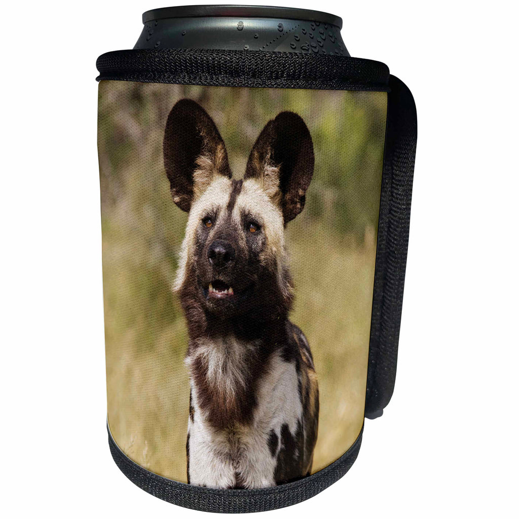 3dRose Danita Delimont - Dogs - African Wild Dog in captivity, Harnas Wildlife Foundation, Namibia. - Can Cooler Bottle Wrap (cc_206230)