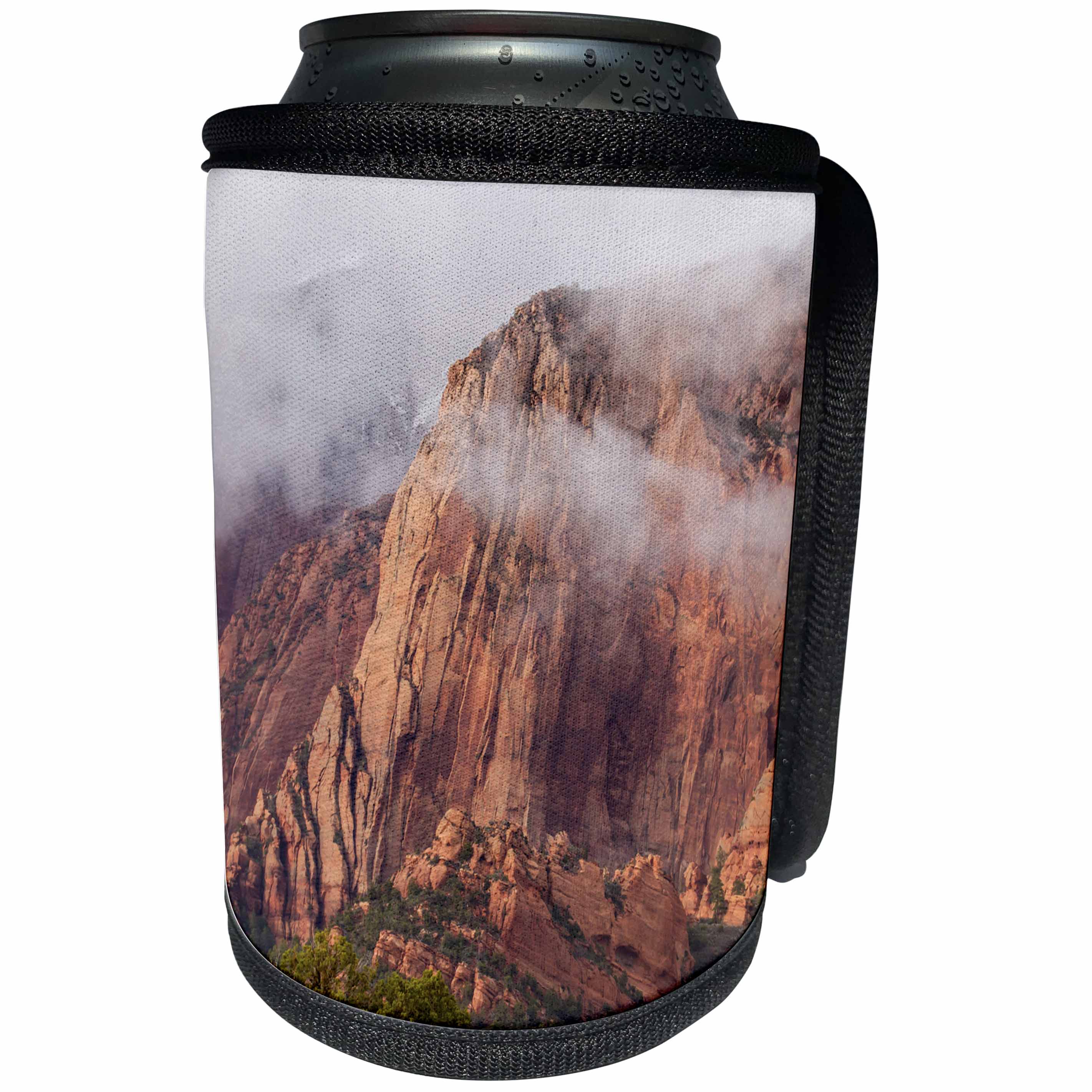 3dRose Danita Delimont - Utah - Clearing storm, Kolob Canyons, Zion National Park, Utah - Can Cooler Bottle Wrap (cc_206232)