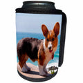 3dRose Danita Delimont - Dogs - Pembroke Welsh Corgi puppy standing on wooden table - Can Cooler Bottle Wrap (cc_206233)