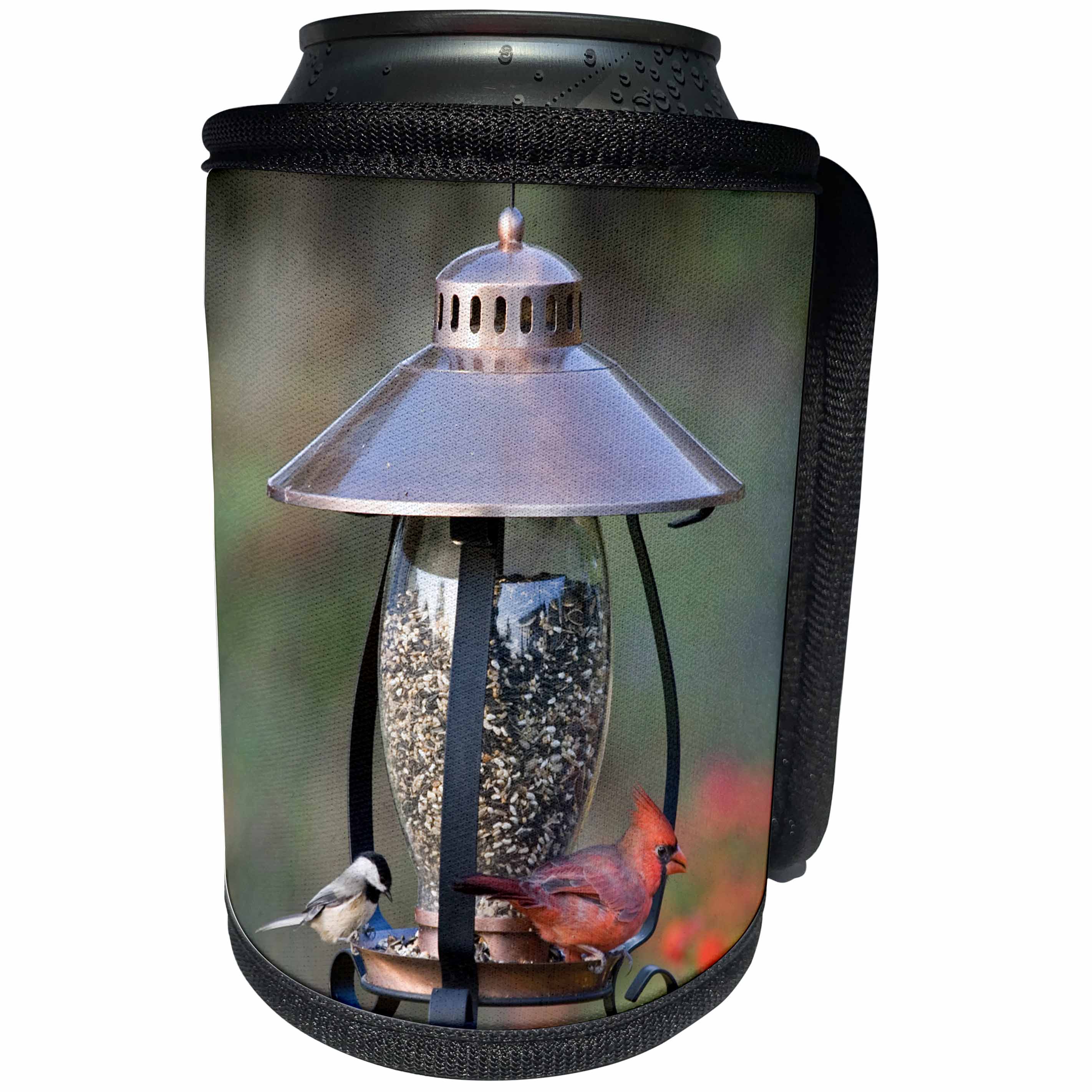 3dRose Danita Delimont - Birds - Carolina Chickadee Northern Cardinal male on copper lantern feeder, IL - Can Cooler Bottle Wrap (cc_206239)