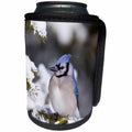 3dRose Danita Delimont - Birds - Blue Jay in fir tree in winter, Marion, Illinois, USA. - Can Cooler Bottle Wrap (cc_206250)