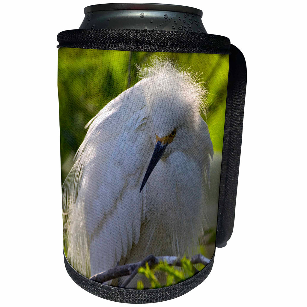 3dRose Danita Delimont - Birds - USA, Florida, St Augustine Gator Farm nesting wading birds. - Can Cooler Bottle Wrap (cc_206251)