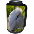 3dRose Danita Delimont - Birds - USA, Florida, St Augustine Gator Farm nesting wading birds. - Can Cooler Bottle Wrap (cc_206251)