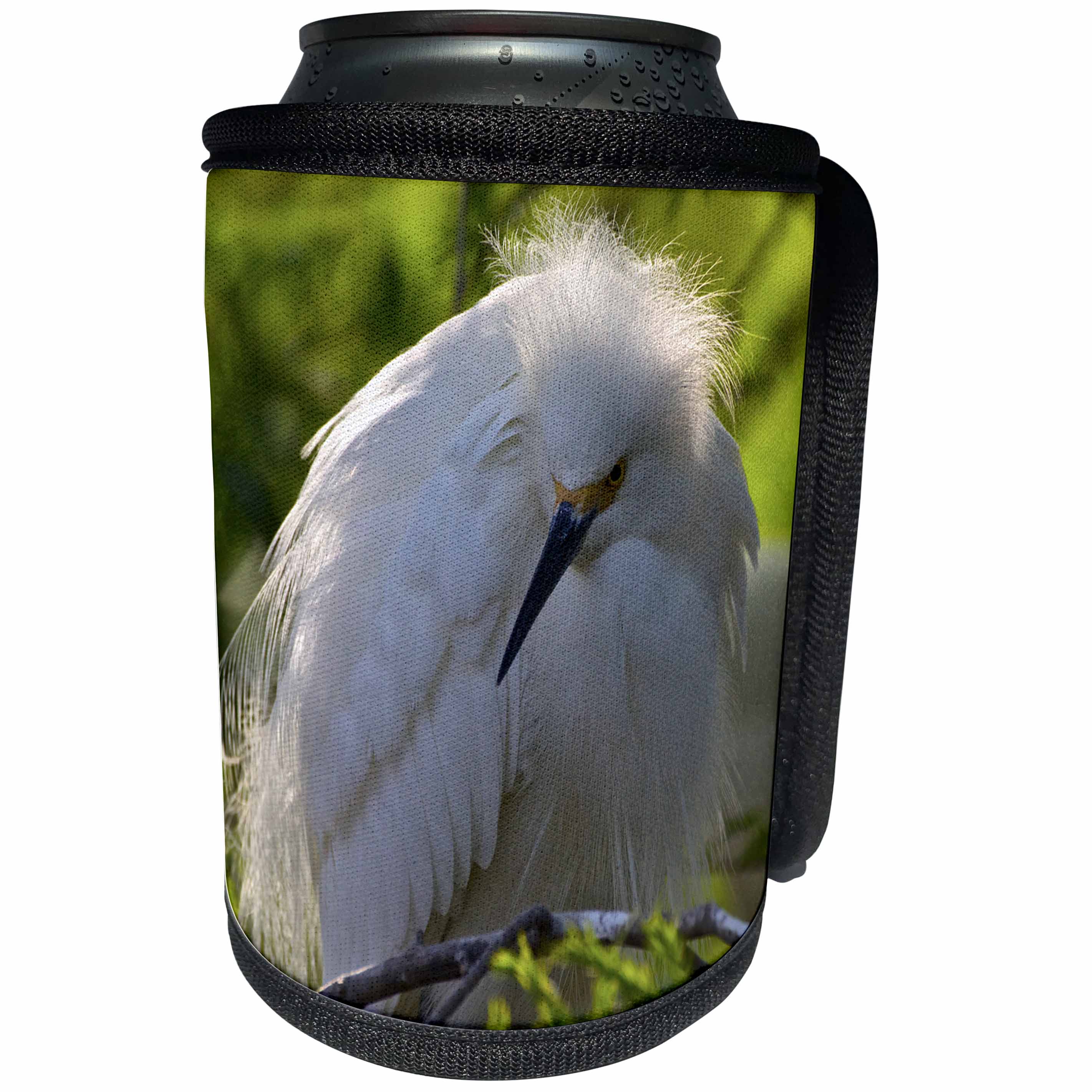 3dRose Danita Delimont - Birds - USA, Florida, St Augustine Gator Farm nesting wading birds. - Can Cooler Bottle Wrap (cc_206251)
