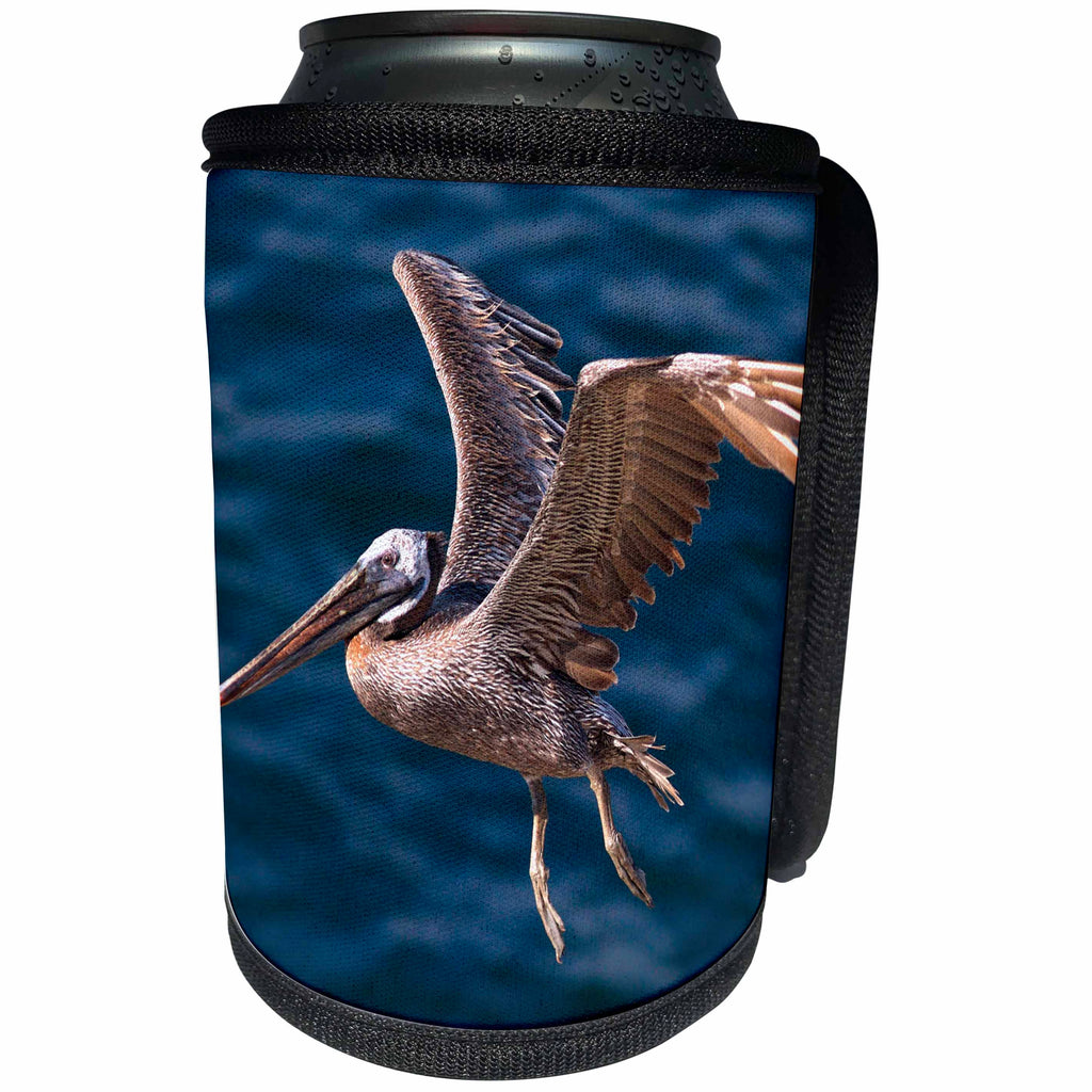 3dRose Danita Delimont - Birds - USA, California, La Jolla. A Pelican Flying over the Pacific Coast. - Can Cooler Bottle Wrap (cc_206257)