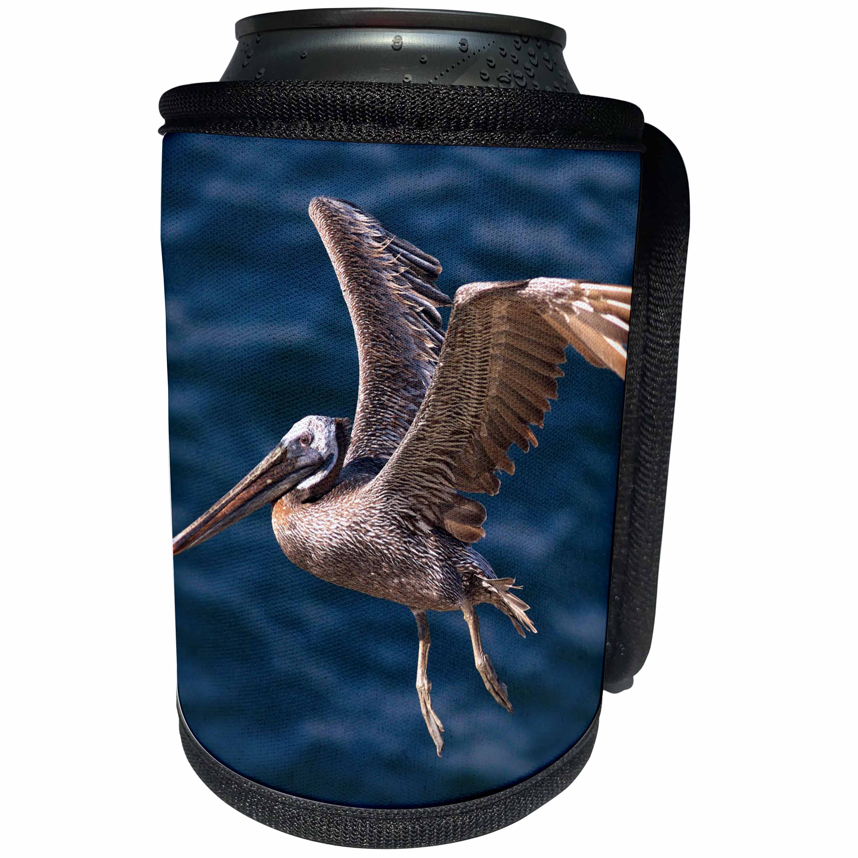 3dRose Danita Delimont - Birds - USA, California, La Jolla. A Pelican Flying over the Pacific Coast. - Can Cooler Bottle Wrap (cc_206257)