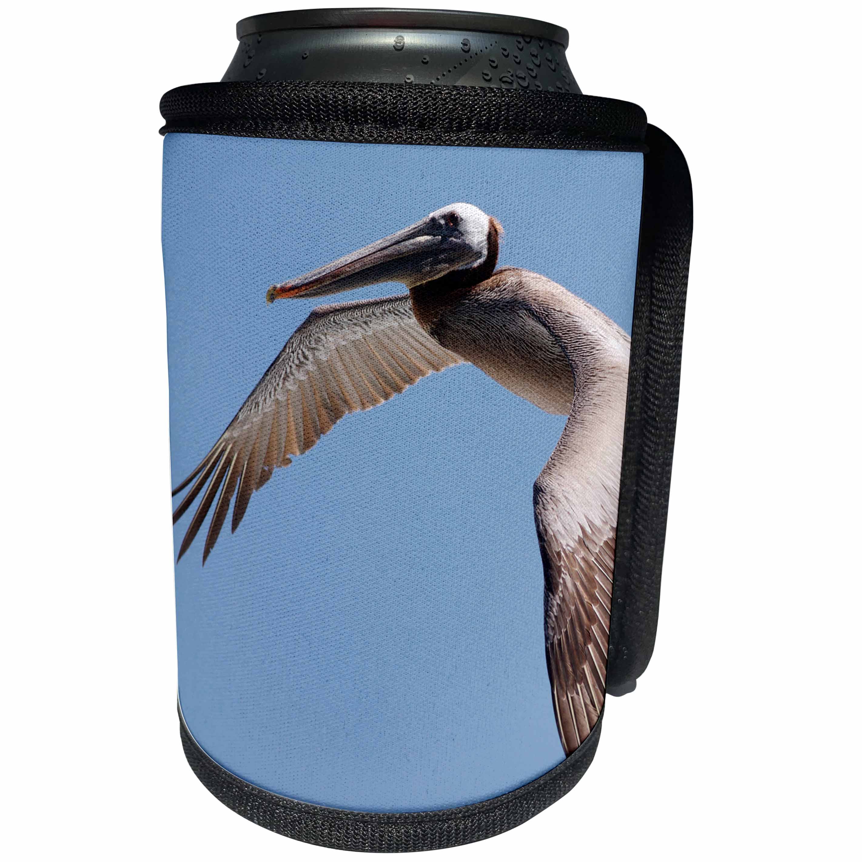 3dRose Danita Delimont - Birds - A Pelican Flying over the Pacific Coast. - Can Cooler Bottle Wrap (cc_206258)