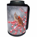 3dRose Danita Delimont - birds - Northern Cardinals in Common Winterberry bush, Marion Co. IL - Can Cooler Bottle Wrap (cc_206262)