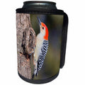 3dRose Danita Delimont - Birds - Marion Co. IL - Red-bellied Woodpecker feeding nestling at nest cavity - Can Cooler Bottle Wrap (cc_206263)