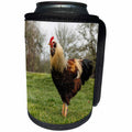 3dRose Danita Delimont - Birds - USA, Oregon, Shedd, Thompson Mills State Historic Site, rooster. - Can Cooler Bottle Wrap (cc_206265)
