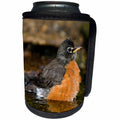3dRose Danita Delimont - Birds - American Robin, Turdus migratorius, bathing, Marion, Illinois, USA. - Can Cooler Bottle Wrap (cc_206273)