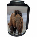 3dRose Danita Delimont - Bears - Brown bear and cubs - Can Cooler Bottle Wrap (cc_206276)