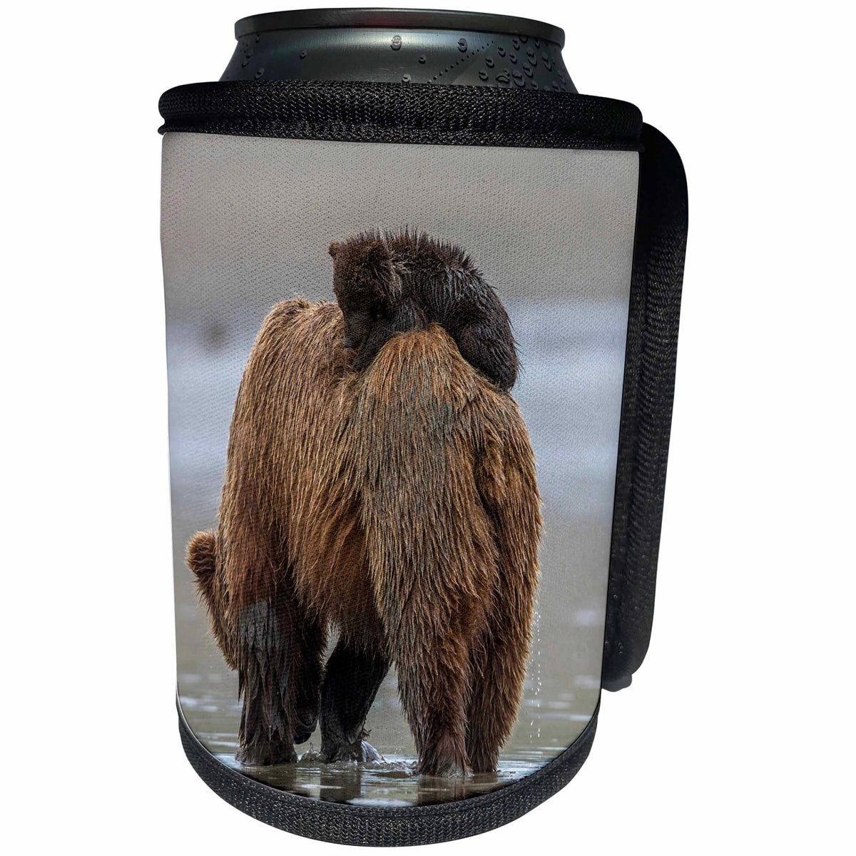 3dRose Danita Delimont - Bears - Brown bear and cubs - Can Cooler Bottle Wrap (cc_206276)