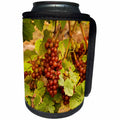 3dRose Danita Delimont - Grapes - USA, Washington. Siegerrebe grapes at a Whidbey Island winery. - Can Cooler Bottle Wrap (cc_206285)