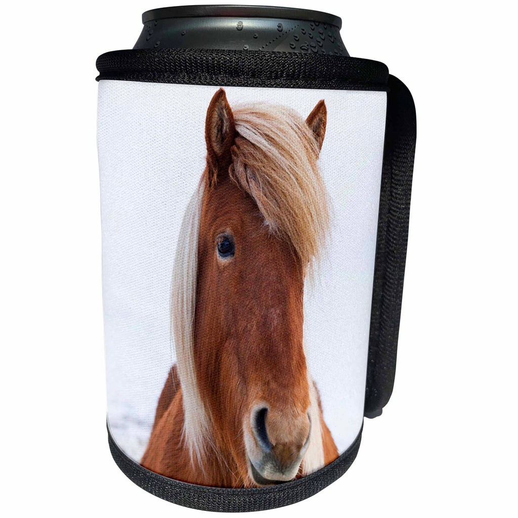 3dRose Danita Delimont - Horses - Iceland - Icelandic horse during winter. - Can Cooler Bottle Wrap (cc_206290)