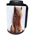 3dRose Danita Delimont - Horses - Iceland - Icelandic horse during winter. - Can Cooler Bottle Wrap (cc_206290)