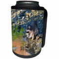 3dRose Danita Delimont - Animals - USA, Washington, Bainbridge Island. Raccoon forages at Fletcher Bay. - Can Cooler Bottle Wrap (cc_206297)