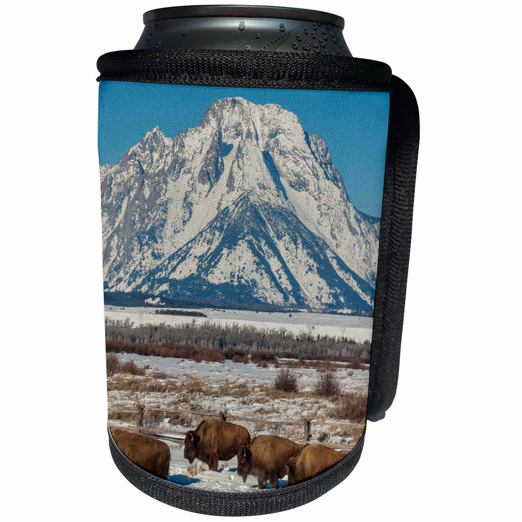 3dRose Danita Delimont - Animals - USA, Wyoming, Grand Teton National Park. Bison and winter landscape. - Can Cooler Bottle Wrap (cc_206298)