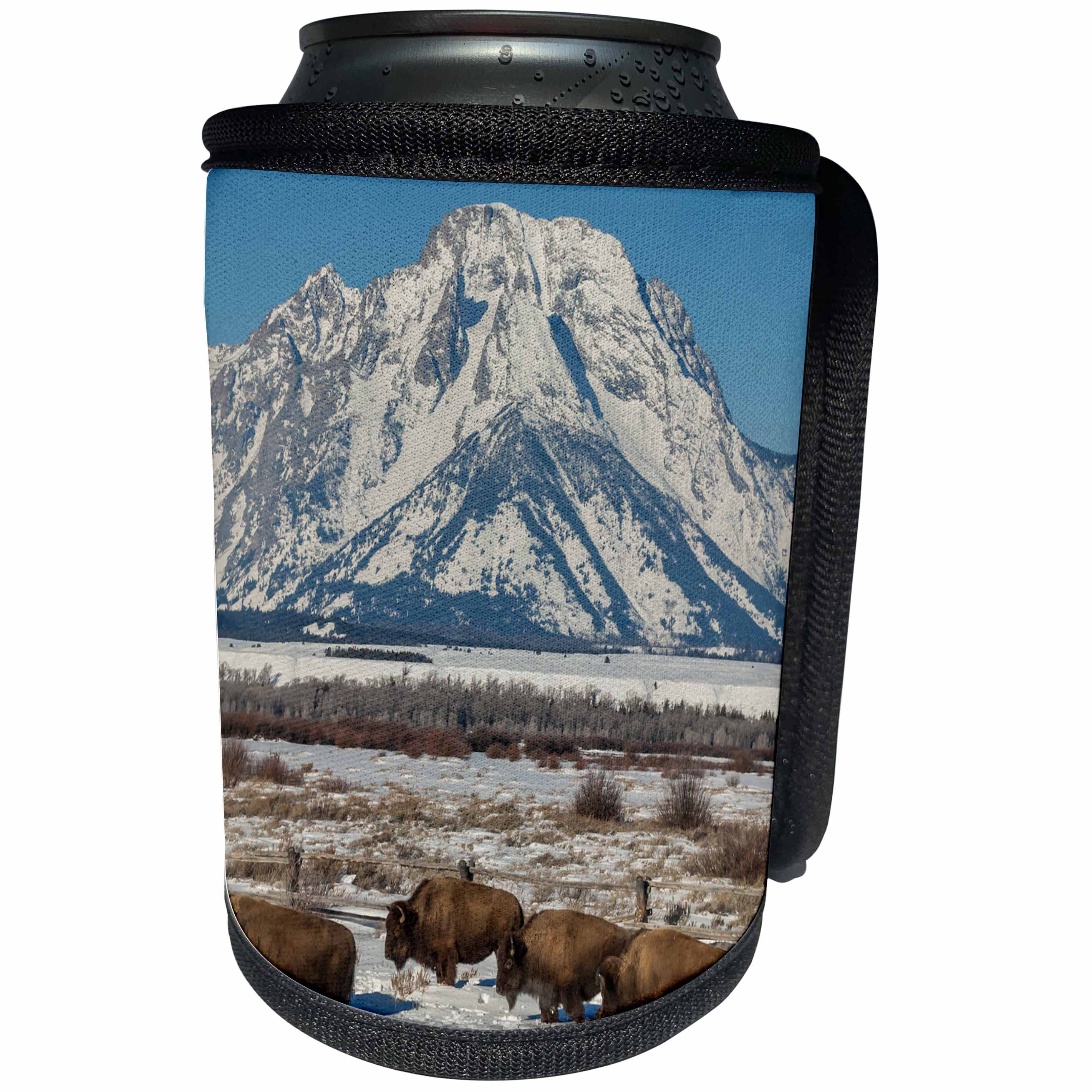 3dRose Danita Delimont - Animals - USA, Wyoming, Grand Teton National Park. Bison and winter landscape. - Can Cooler Bottle Wrap (cc_206298)