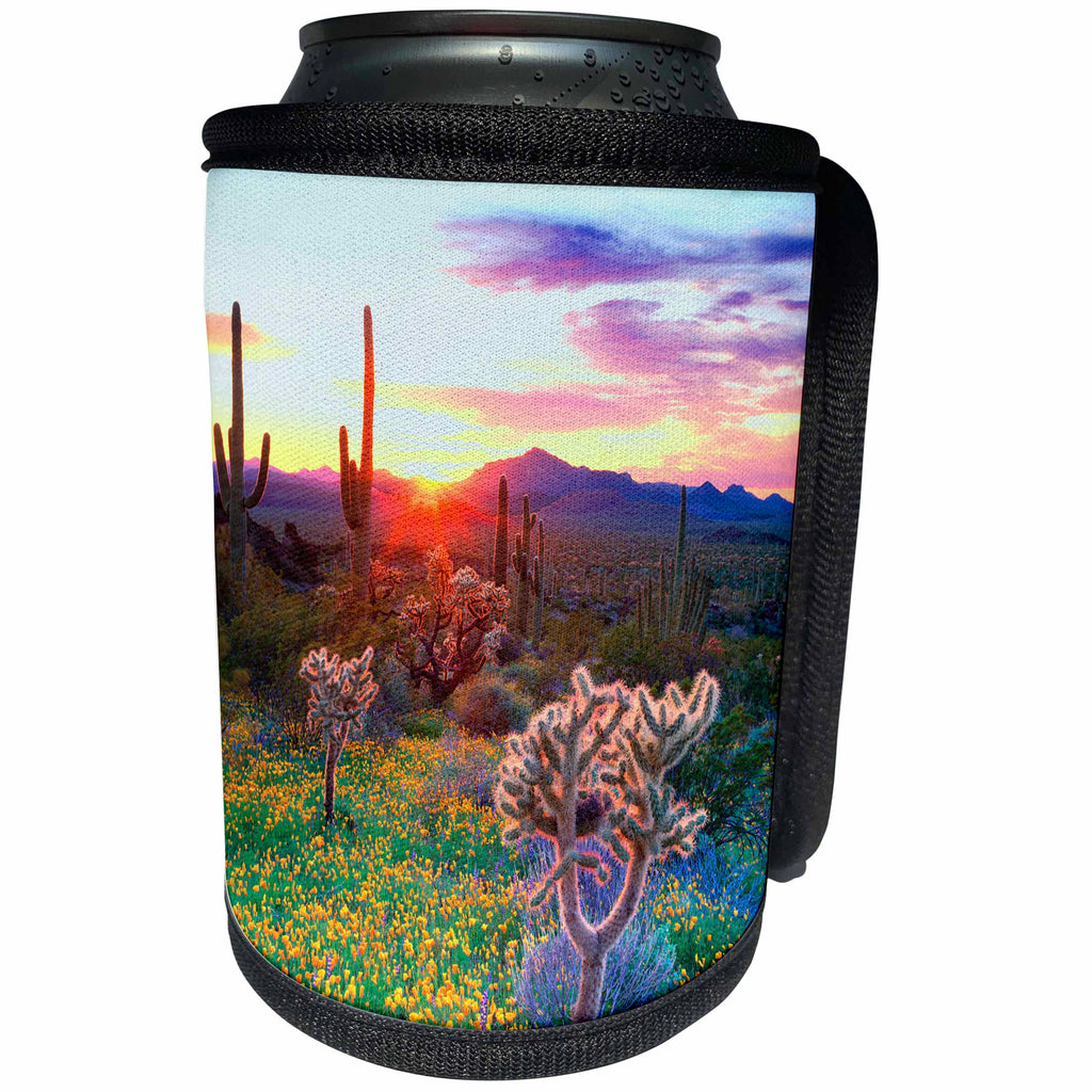 3dRose Danita Delimont - Deserts - USA, Arizona, Wildflowers and cacti at sunset in Organ Pipe Cactus NP. - Can Cooler Bottle Wrap (cc_206299)