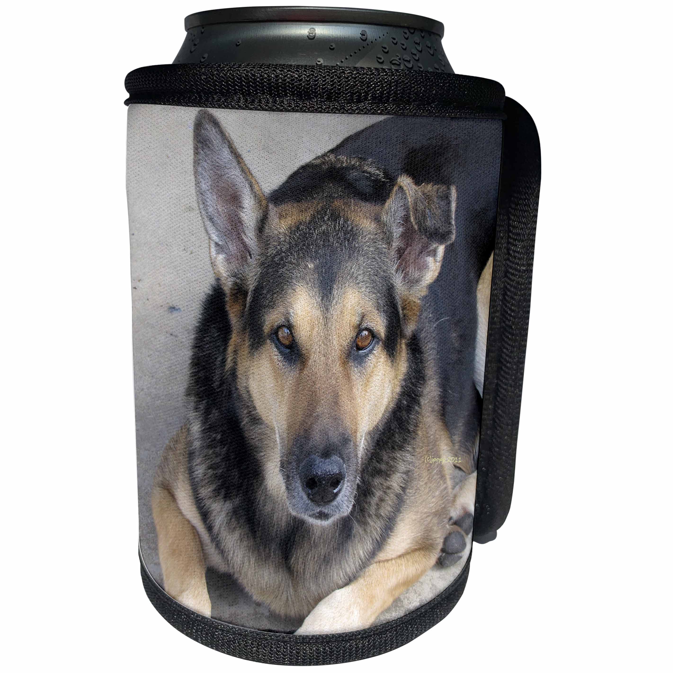 3dRose Jackie Popp Nature N Wildlife animals - German Shepherd - Can Cooler Bottle Wrap (cc_21063)