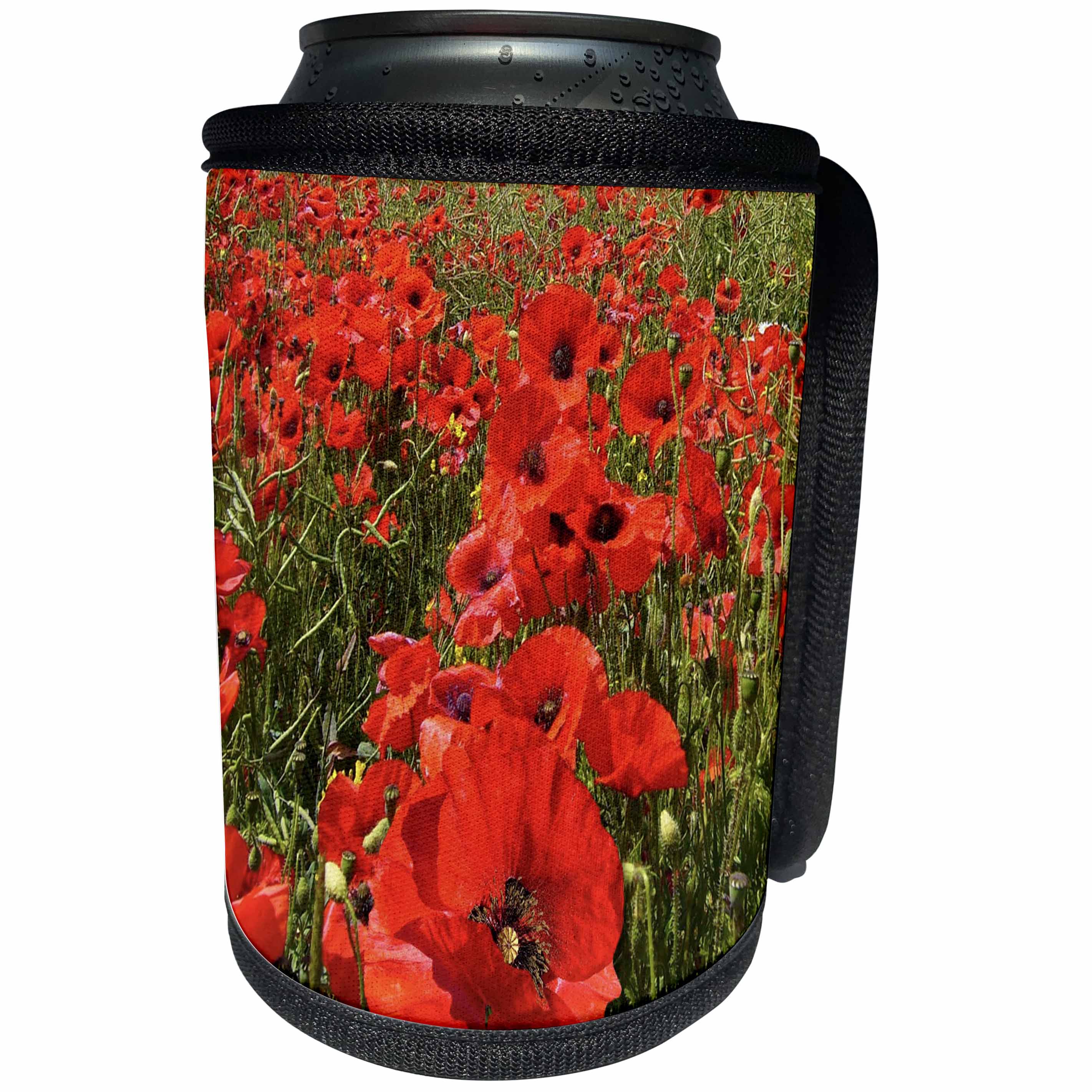 3dRose RinaPiro - Flowers - Poppy flower field. Poppy flowers. Popular image. - Can Cooler Bottle Wrap (cc_218225)