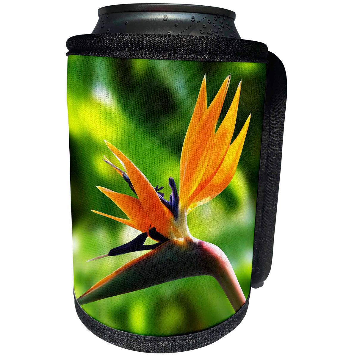 3dRose RinaPiro - Flowers - Bird of Paradise flower. Orange. Exotic flowers. Popular flowers. - Can Cooler Bottle Wrap (cc_218228)