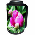 3dRose RinaPiro - Flowers - Pink Peony. Popular flower. - Can Cooler Bottle Wrap (cc_218233)