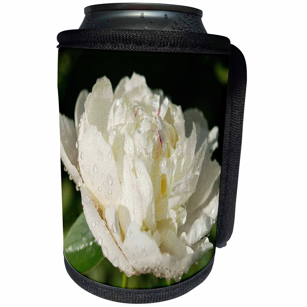3dRose RinaPiro - Flowers - White peony with drops of water. Popular image. - Can Cooler Bottle Wrap (cc_218234)