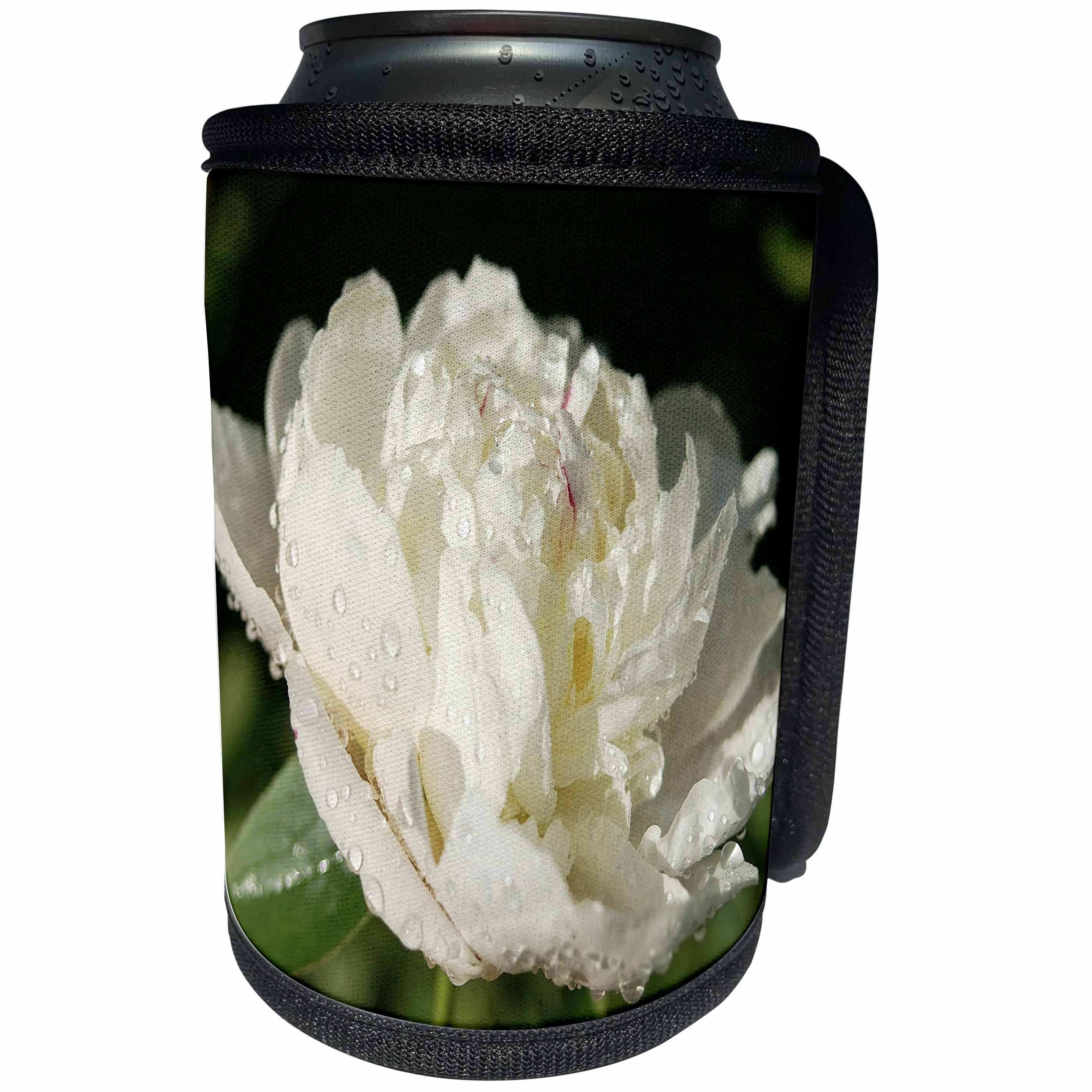3dRose RinaPiro - Flowers - White peony with drops of water. Popular image. - Can Cooler Bottle Wrap (cc_218234)